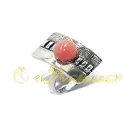 0559К   Зебра