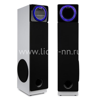 Колонка 10" (30-58 HOME SOUND) динамик 6шт/2х10"; 2х6.5"; 2х3" комплект 2 колонки ELTRONIC (белая)