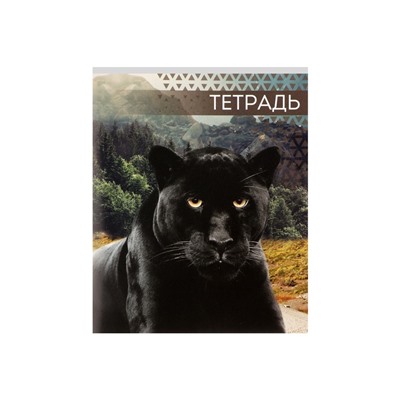 Тетрадь 48 листов в клетку, Calligrata «Дикие кошки», обложка мелованная бумага, МИКС