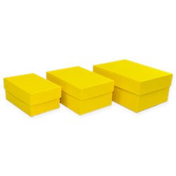 Набор  коробок - прямоугольник 3 шт, Золото 6, 11,5*7,5*5,3-15,5*11,5*7,3 см.