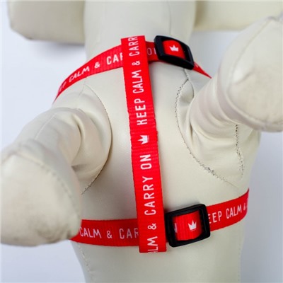 Поводок Keep calm & carry on 120×1.5 см, шлейка 36-49 см