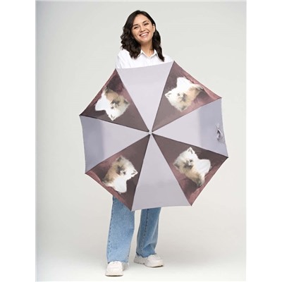 R346-3362 Cutekitty (Котенок) Зонт женский автомат Fulton