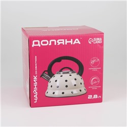 Чайник со свистком Доляна «Горошек», 2.8 л, нержавеющая сталь, хромированный