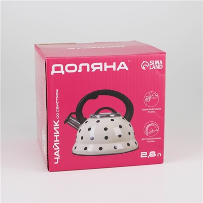 Чайник со свистком Доляна «Горошек», 2.8 л, нержавеющая сталь, хромированный