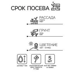 Семена Виола "Фриззл Сиззл", бургунди, F1, 5 шт
