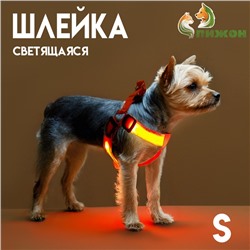 Шлейка светящаяся размер S, стропа 2,5 см, ОГ 32-40 см, 3 режима свечения оранжевая