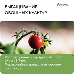 Субстрат кокосовый, универсальный, для террариумов и растений, в брикете, 4 л, 30% чипсы и 70% торф, Greengo