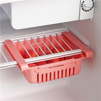 Полка подвесная в холодильник раздвижная Доляна, 20(28)×16.2×7.5 см, МИКС