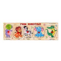 Рамка - вкладыш "Учим животных", 5 элементов
