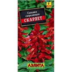 Семена Сальвия сверкающая Скарлет, арт.: 71434