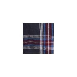 Шорты мужские GK2102 Gentlemen