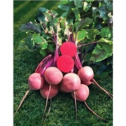 Свёкла Ред Марио 1гр, арт.: 25509