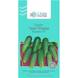 Семена Огурец Конни F1, арт.: 3389
