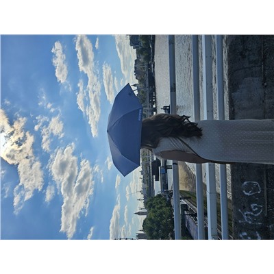 L924-4274 BlueChambray (Синий) Зонт женский механика Fulton