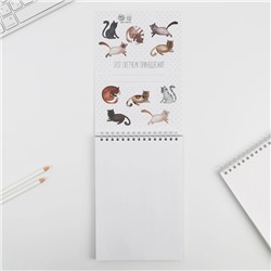 Скетчбук «Кот» А5, 40 л, 100 г/м