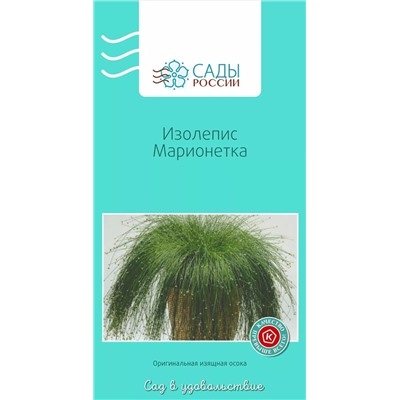 Семена Изолепис Марионетка , арт.: 3467