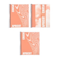 Тетрадь 96л кл на гребне Apricot, обл мел карт, блок офсет МИКС