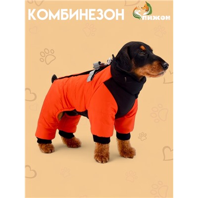 Комбинезон "Тренд", оксфорд, M (ДС 27, ОШ 29, ОГ 38 см, вес 5-8 кг), оранжевый