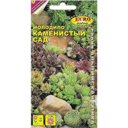 Молодило Каменистый Сад