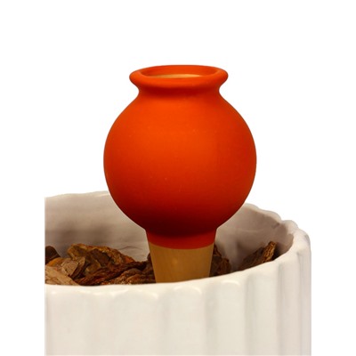 Ороситель «Кувшинчик», 11.5×6.5 см, цвет МИКС, набор 4 шт.