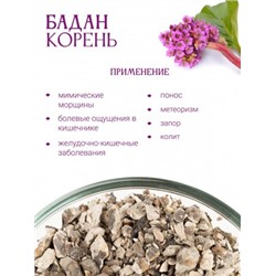 Бадан корень