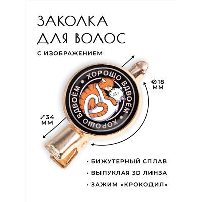 HZF-0148 Заколка Хорошо вдвоём