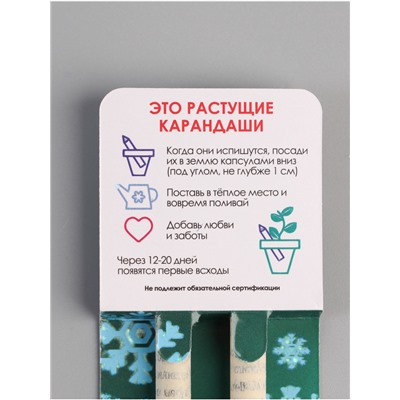 Набор для выращивания, карандаши подарочные «Голубая Ель + Сосна», mini, простые чернографитные, 2 шт.