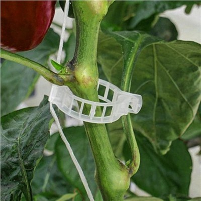 Клипса садовая, d = 23 мм, набор 50 шт., Greengo