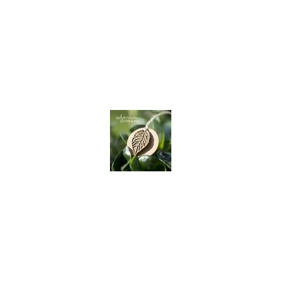 Подвеска ЛИСТ II бронза (Folium)