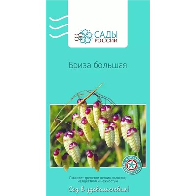 Семена Бриза большая 0,2гр, арт.: 2996