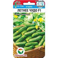 Семена Огурец Летнее чудо, арт.: 14726
