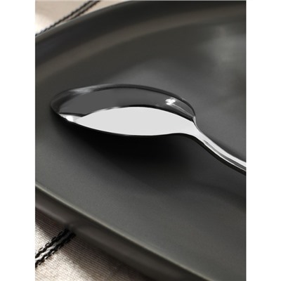 Ложка столовая Magistro «Блинк», длина 22 см, нержавеющая сталь, серебристая