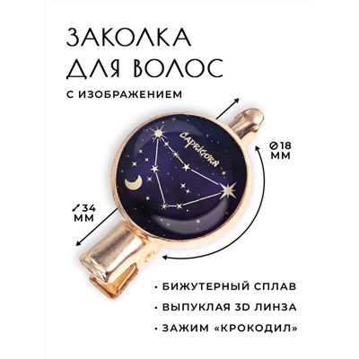 HZF-0314 Заколка Знаки Зодиака - Козерог