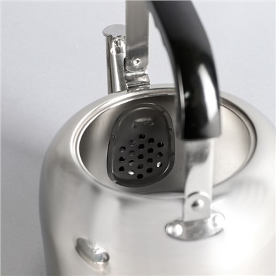 Чайник, 3 л, капсульное дно, нержавеющая сталь