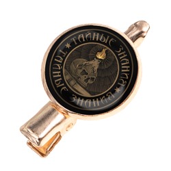 HZF-0374 Заколка Тайные знания