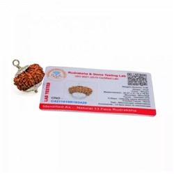 Сертифицированная натуральная Рудракша (13 мукхи), Certified Natural 13 Face Rudraksha, произв. PANDIT NM SHRIMALI