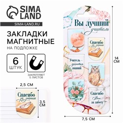 Закладки магнитные на подложке «Вы лучший учитель», 6 шт.