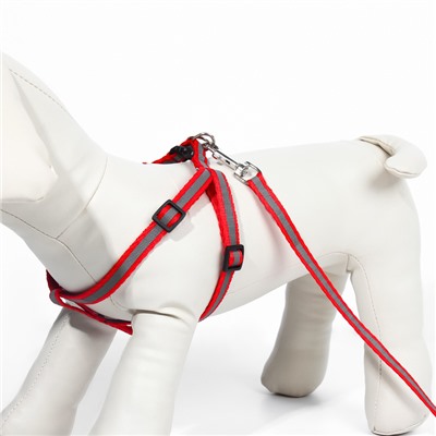 Комплект со светоотражающей лентой, ошейник 120×1 см, ОГ 26-40 см, красный