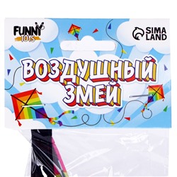 Воздушный змей «Сова», с леской
