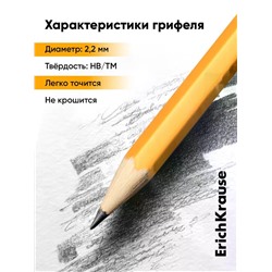 Карандаш чернографитный ErichKrause. Amber 101, НВ, с ластиком, шестигранный, деревянный, жёлтый корпус