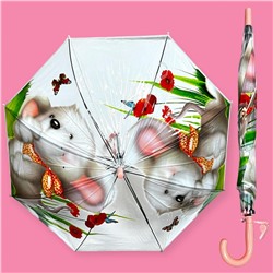 Зонт-трость детский прозрачный с рисунком полуавтомат Арт 2007/1