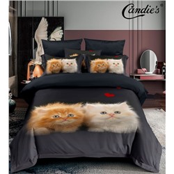 КПБ Candie's Future CANFU033