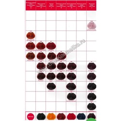 CONCEPT Краска 100 мл ТОН УКАЗЫВАЕМ В ПРИМЕЧАНИИ К ЗАКАЗУ! Можно указать замену