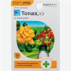 Август Топаз 10мл, артикул: 74953