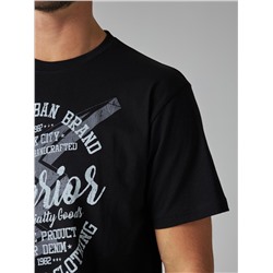 Футболка мужская арт. 02285/Superior