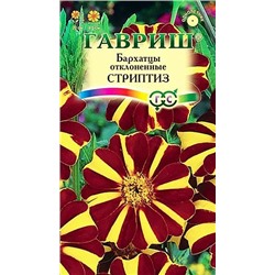 Бархатцы Стриптиз отклоненные, арт.: 3703
