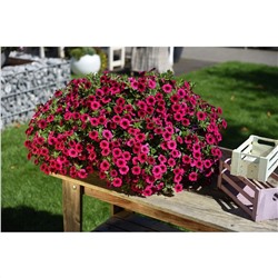 Набор калибрахоа №1