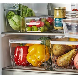 KLIPPKAKTUS Aufbewahrungskorb für Kühlschrank, transparent, 30x19x14 cm