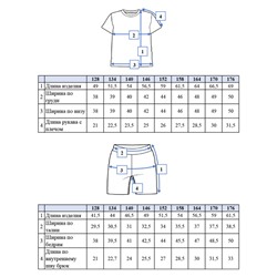 Комплект для мальчика: футболка, шорты
