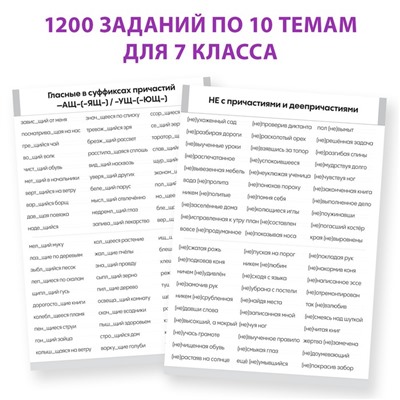Обучающая книга «Тренажёр по русскому языку 7 класс», 102 листа